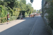 Klosterlauf_2018_Tom Weidenhammer (55)