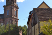 Klosterlauf-389